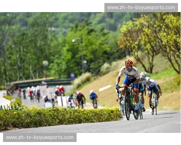 开云体育头条：引领未来的体育娱乐新风潮